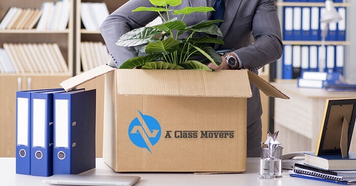 Trusted Office Removalists in Estrees Bay